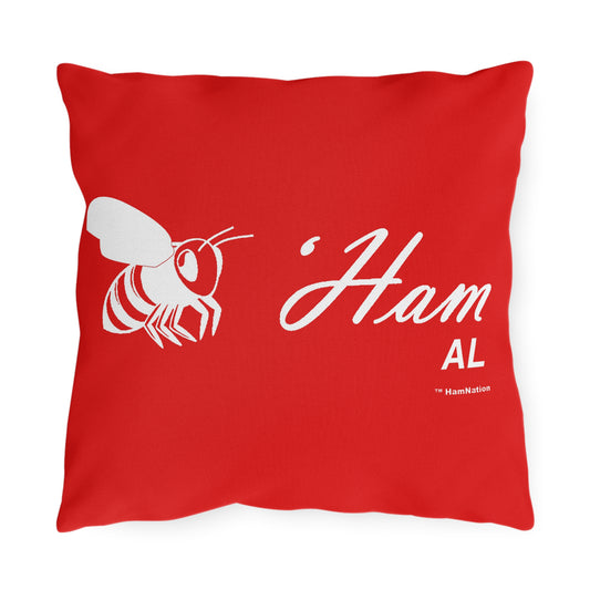 Bee-Ham Outdoor Pillow – Script Design